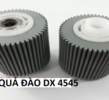 QUẢ ĐÀO DX 4545